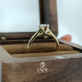 Anillo ana