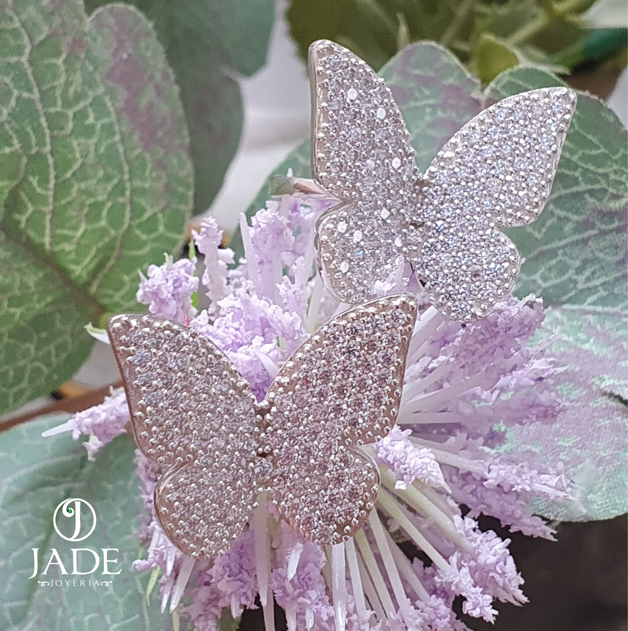 Anillo de Mariposa en plata ley