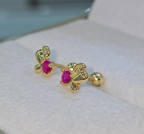 Aretes Mi Primer Legado
