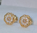 Aretes Bonita