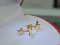 Aretes Estrella Fugaz