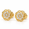 Aretes Bonita