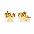 Aretes Estrella Fugaz