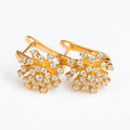 Aretes de copo de nieve