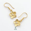 Aretes colgantes Flor de Amor