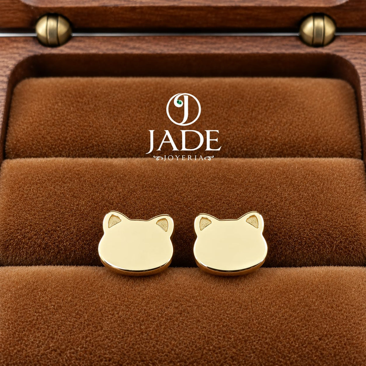 Aretes de gato