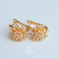 Aretes de copo de nieve
