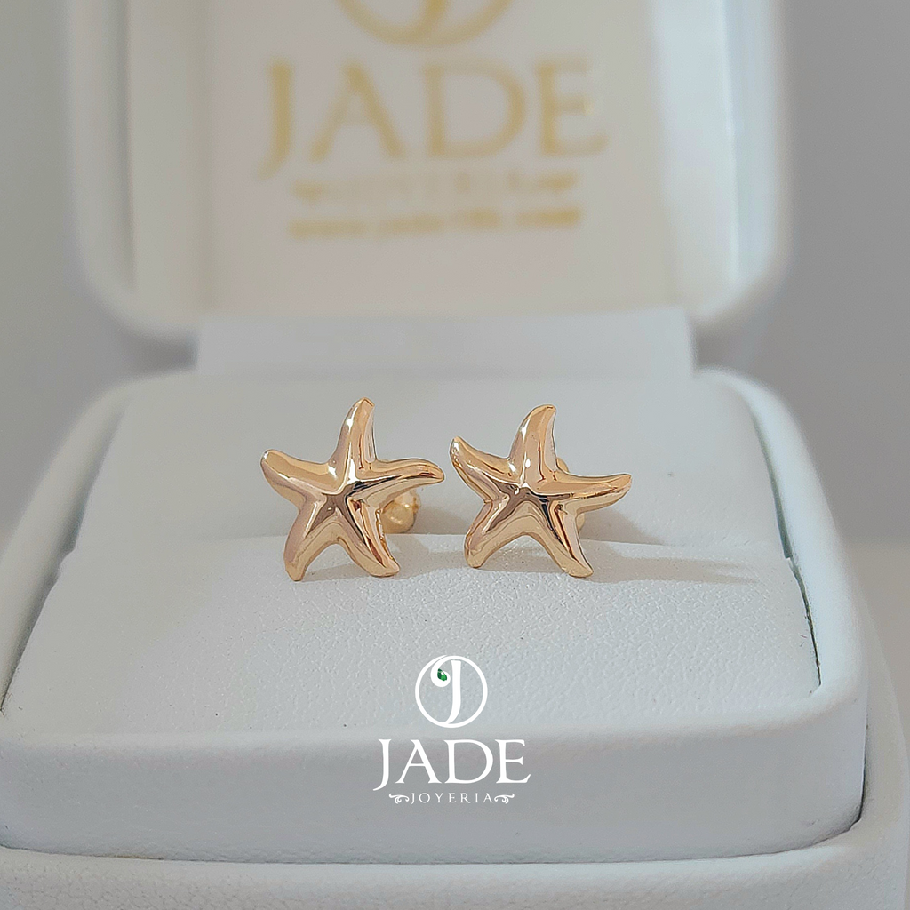 Aretes estrella de Mar