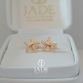 Aretes estrella de Mar
