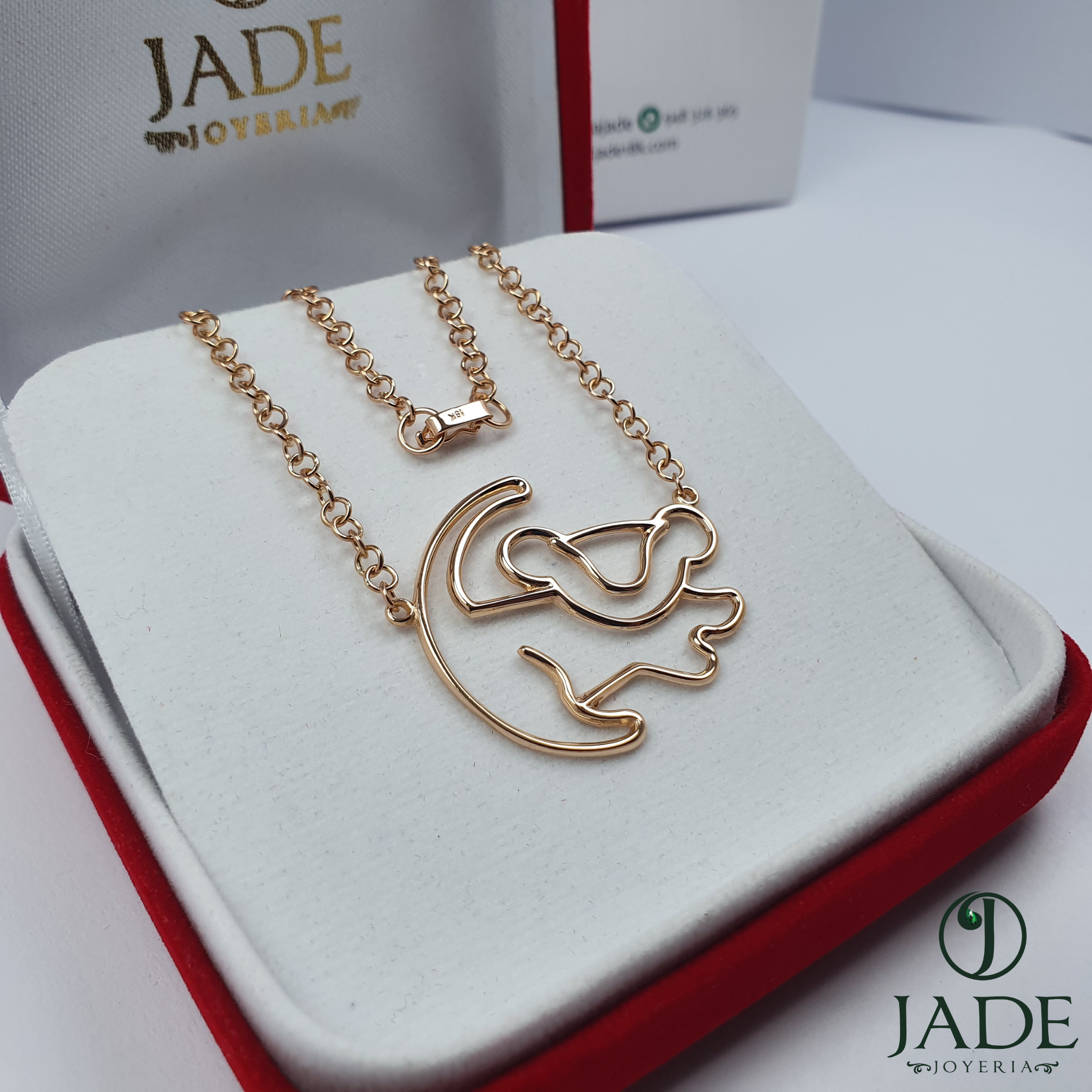 Conjunto de Simba del rey león