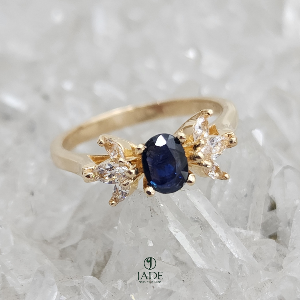 Anillo Marino