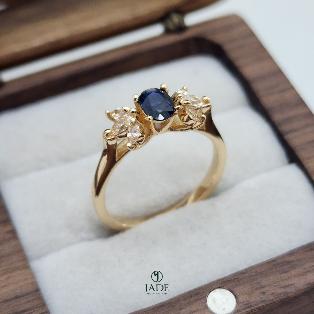 Anillo Marino